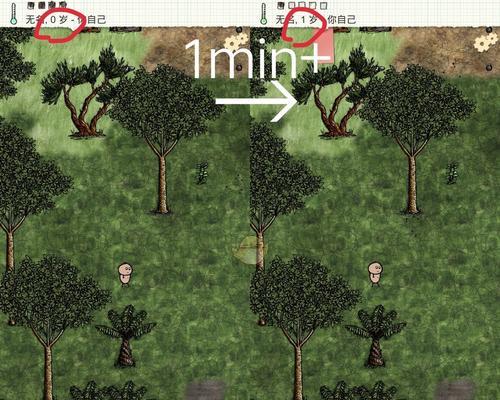 种植攻略大全——一小时人生农作物种植教程（游戏化学习）