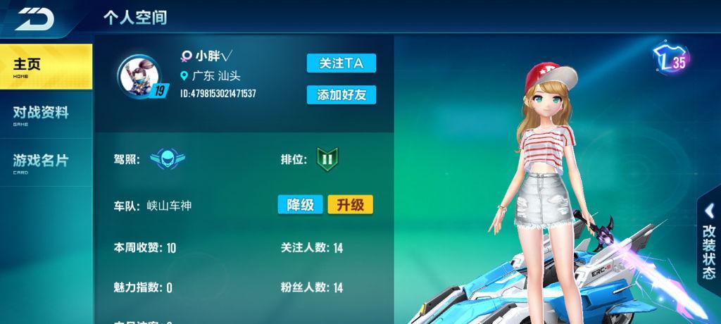 QQ飞车手游改装分支攻略（选择最优秀的改装分支）