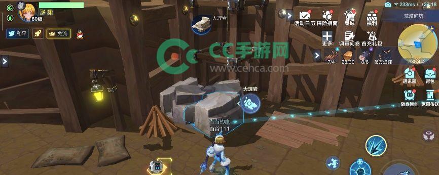 《如何获得起源青焰斑马》（探索斑马之谜）