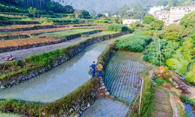 《以仙石奇缘新手开荒最全指南》（轻松玩转游戏）