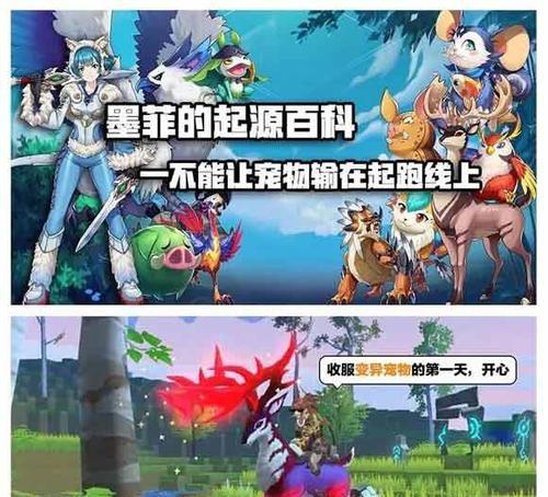 《以我的起源宠物为主题的捕捉攻略》（掌握技巧）