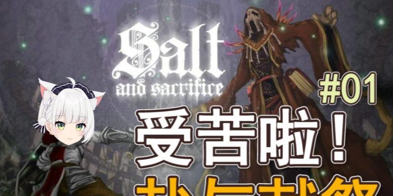 《高手武器连击实用小技巧》（以盐和避难所为例）