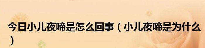 《夜啼》攻略全解析，让你在黑暗中游刃有余（掌握夜啼基础操作）