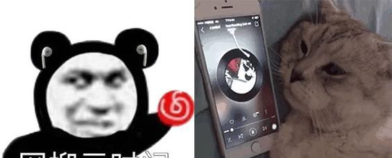 云计划野良算法的强度如何评估？云计划野良算法有哪些特点？