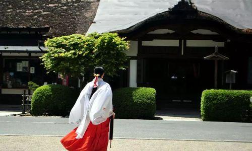 纯白魔女上位职业转职攻略？新手进阶教学有哪些要点？