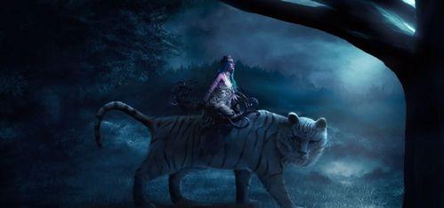 《魔兽世界》中青龙、白羊、白虎如何攻略？战斗策略是什么？