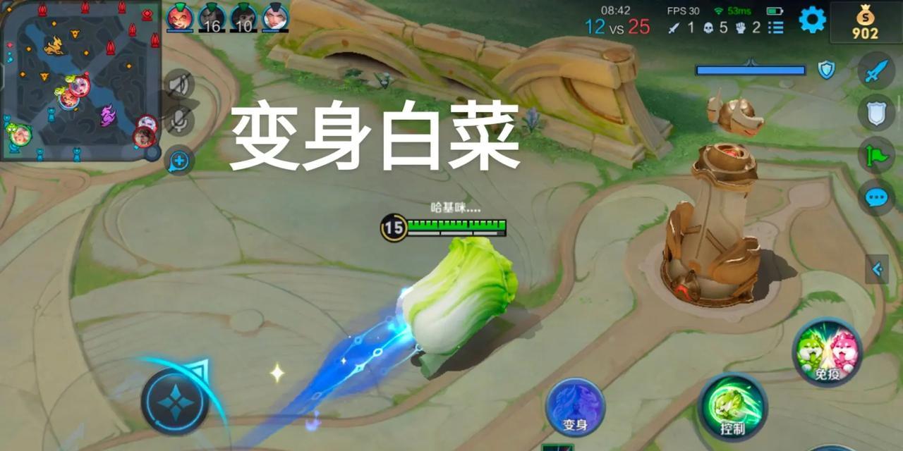 王者荣耀鸡的打法技巧是什么？