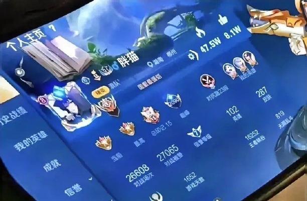 胖猫在王者荣耀中获得多少国服？如何达到？
