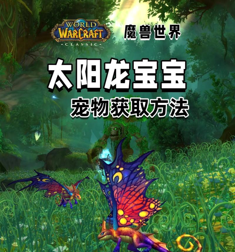 魔兽世界中孵化龙蛋的正确方法是什么？如何确保龙蛋健康成长？