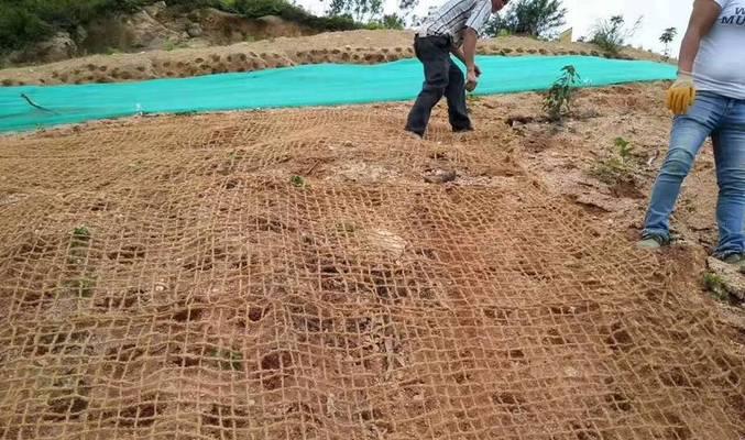 机械液压客土cf网植草灌防护价格是多少？购买后如何使用？