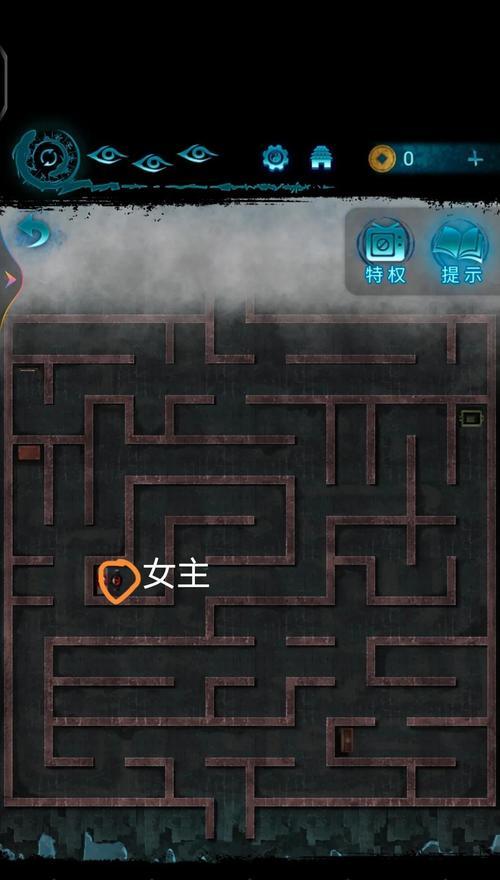 迷宫的入口在哪里？进入迷宫的条件是什么？