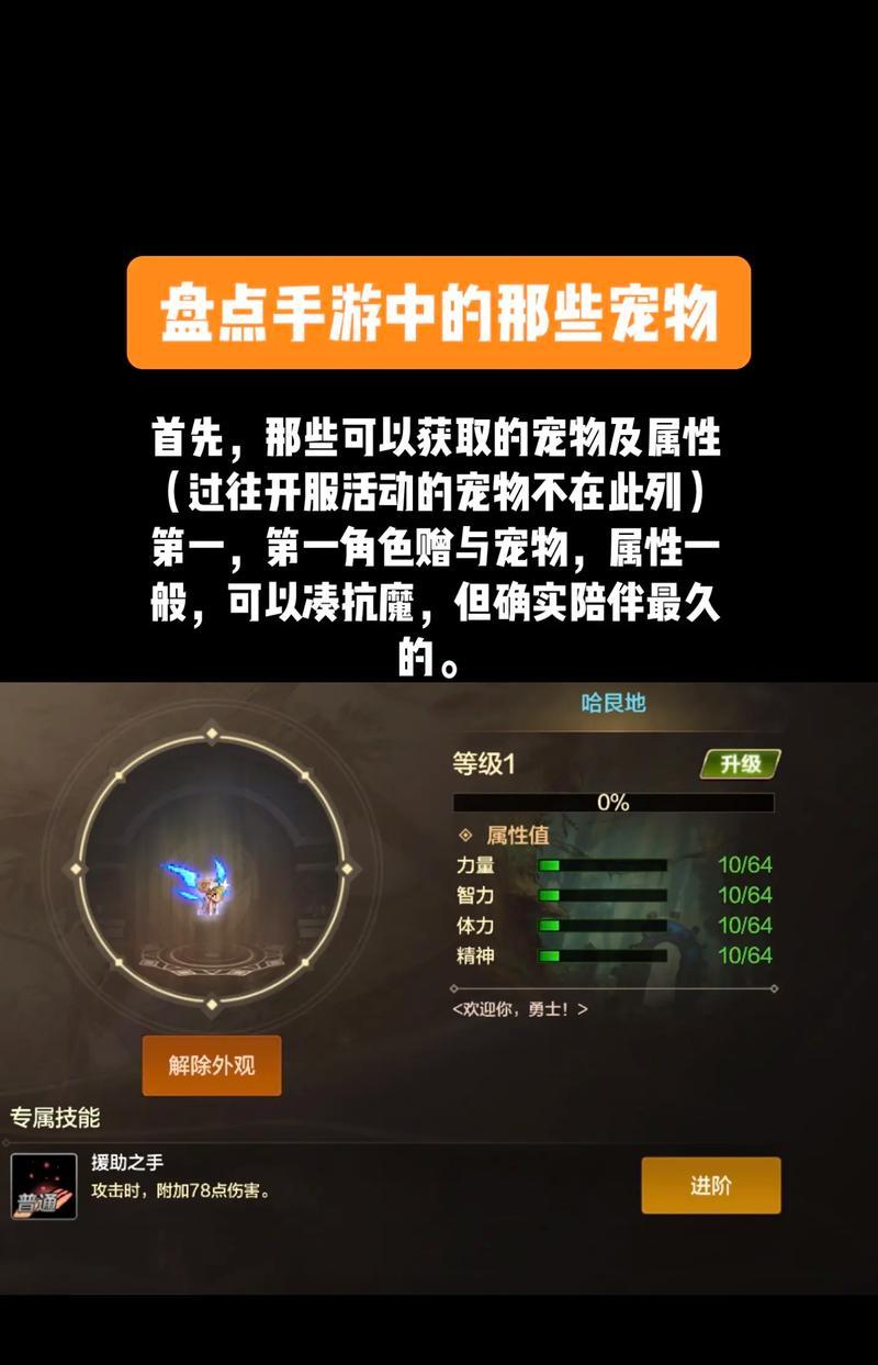 dnf中龙宠物如何获得？获取龙宠物的途径有哪些？