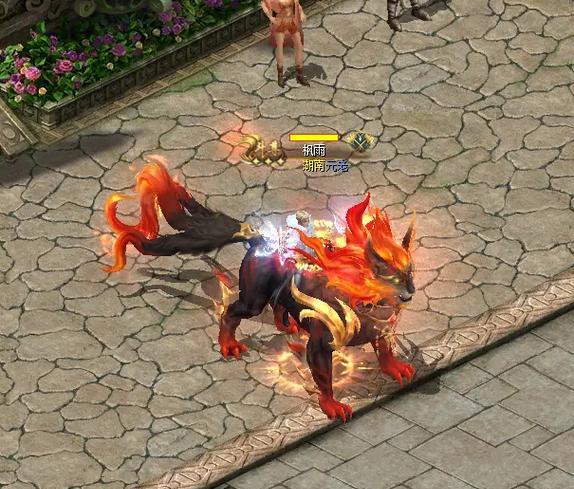 魔域骑士最适合携带哪种幻兽？