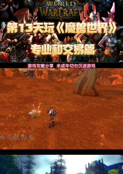 拍卖行显示问题的解决方法是什么？