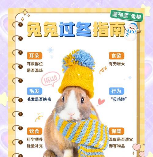 绝地求生中圣诞兔子如何获得？获得后有何用途？