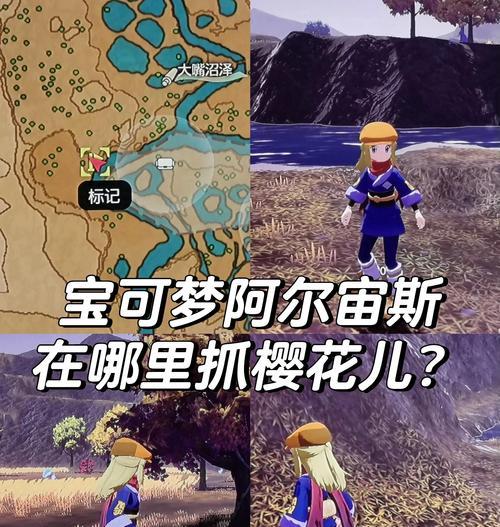 口袋妖怪果树摘了之后如何种植？