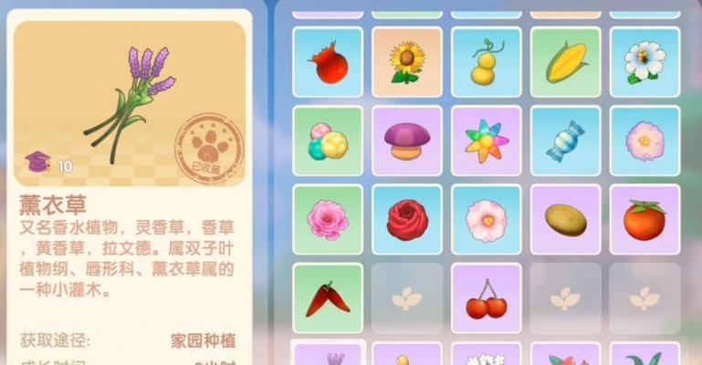 帝王项链如何获得？有什么获取方法？