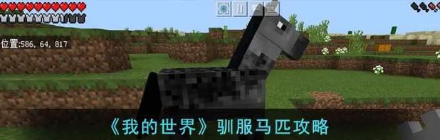 在《我的世界》中马如何加速？