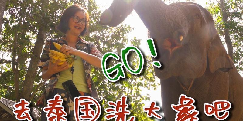 我的世界大象如何驯服？骑大象有什么技巧？