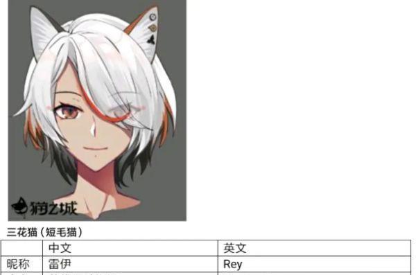 《以猫之城情绪测试攻略详解猫之城情绪测试有什么用》（猫之城情绪测试攻略）