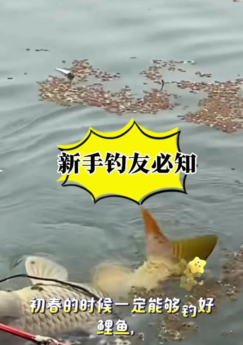 寻仙钓鲤鱼的正确方法是什么？