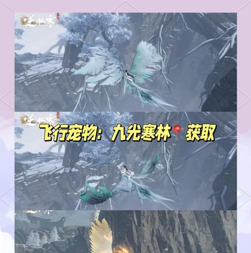解密逆水寒智者无情无情猫（逆水寒游戏内隐藏任务的探秘与挑战）