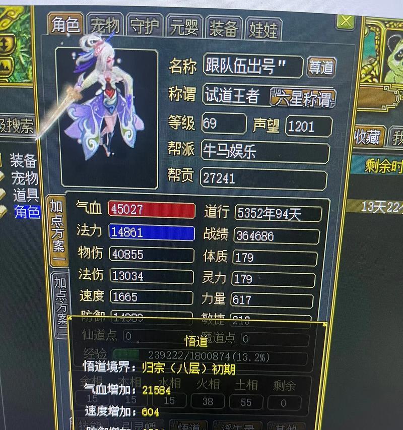 问道游戏中力水敏力的加点方法有哪些？