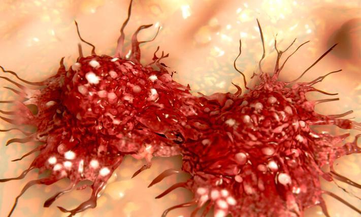 探秘重生细胞红色变异（红色变异）