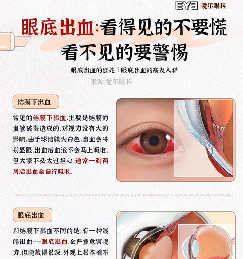 挑战未来眼部技术的极限（探索先进科技）