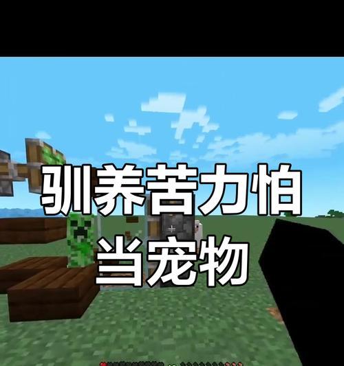 我的世界中猫的生成条件是什么？如何驯服？