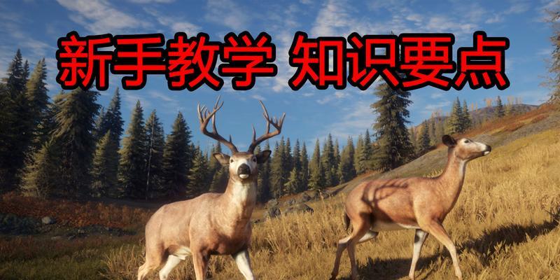 猎人野性的呼唤（玩转游戏中的猎人野性）