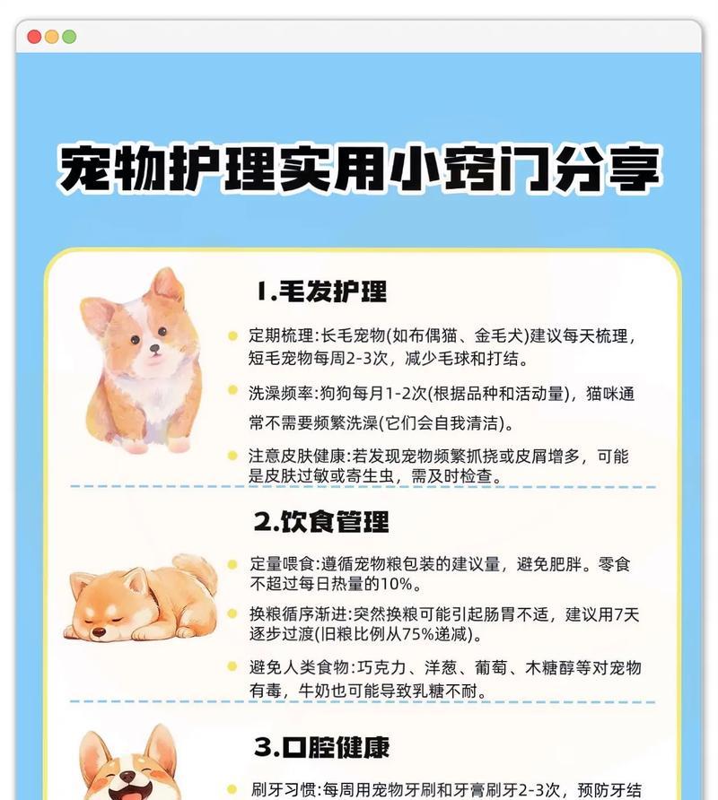 宠物展示的具体操作方法是什么？