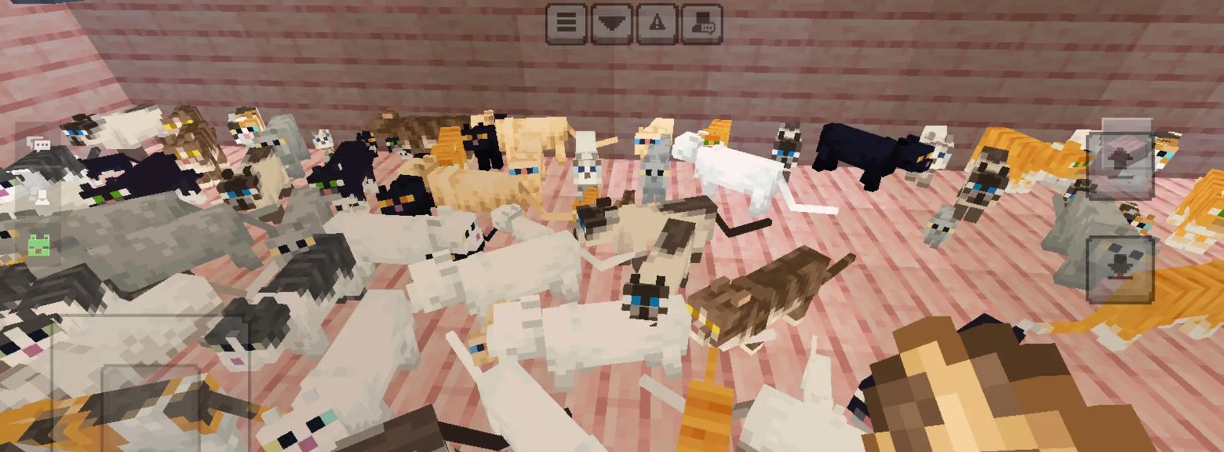 我的世界手机版猫的获取方法？猫在游戏中有何作用？