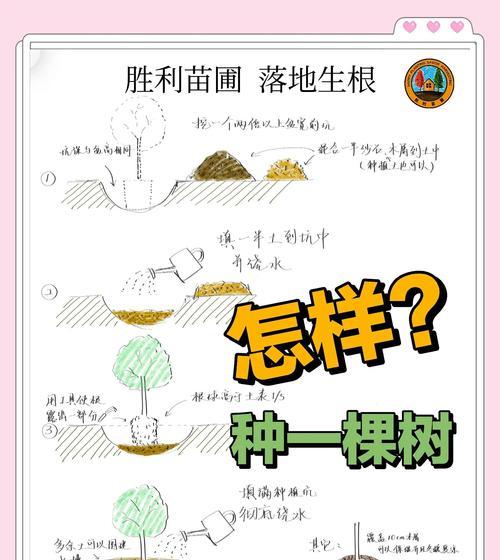 快速种树技巧在哪个版本中有效？