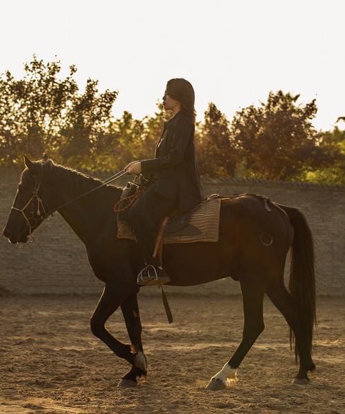 手机版骑马操作与PC版有何不同？