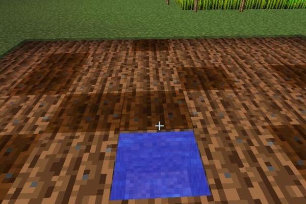 我的世界萝卜种植方法是什么？