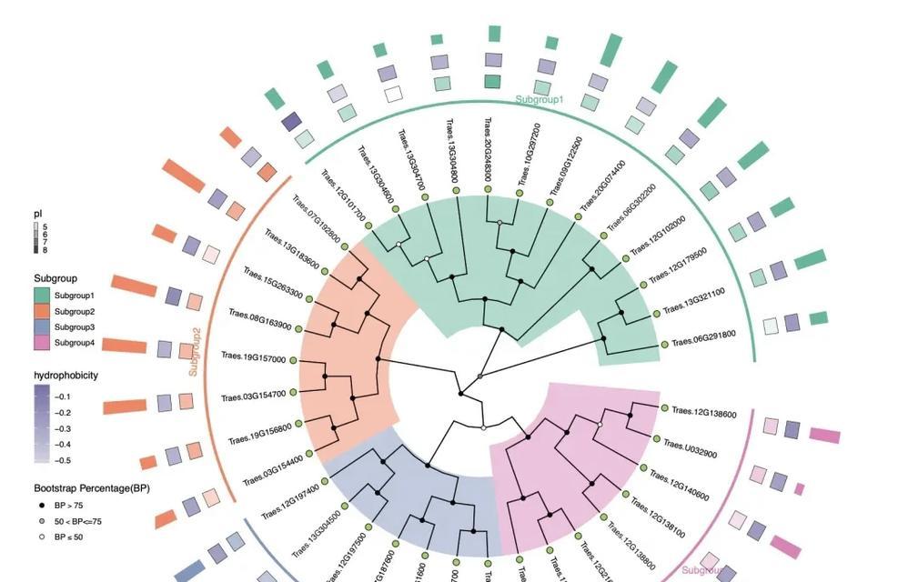 我的世界中如何合成树？合成树的材料和步骤是什么？