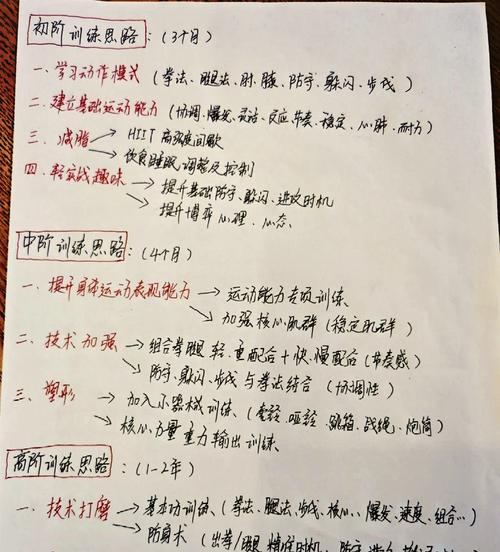 拳击俱乐部游戏中属性技能加点详解（提升实力）