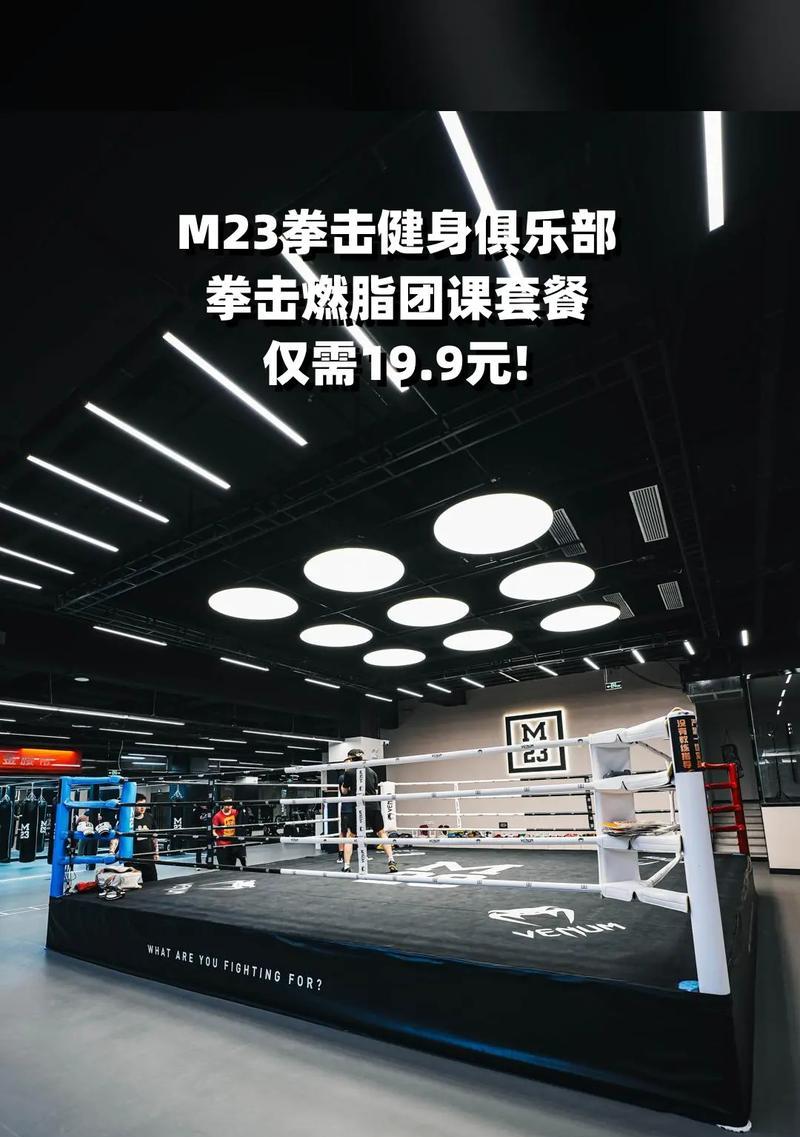 《拳击俱乐部属性介绍系统界面讲解分析》（拳击俱乐部游戏系统的关键属性及界面功能详解）