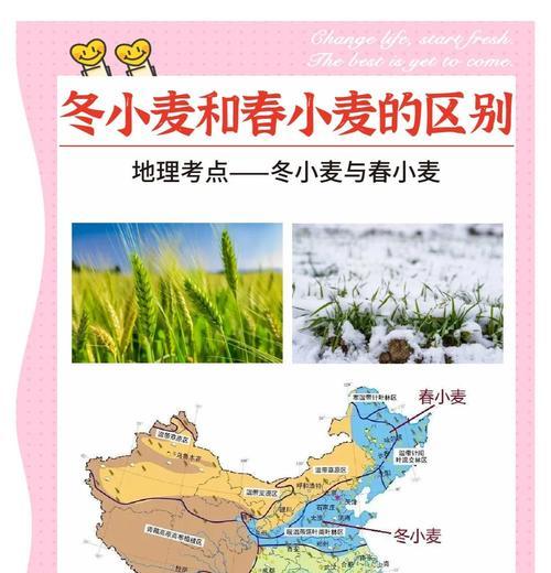 《探索饥荒冰原中的缺氧冰原小麦种植技巧》（打造繁荣的冰原庄园）