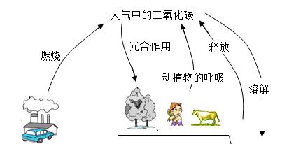 游戏中的缺氧二氧化碳处理与循环利用技巧（创新方法提升游戏体验）