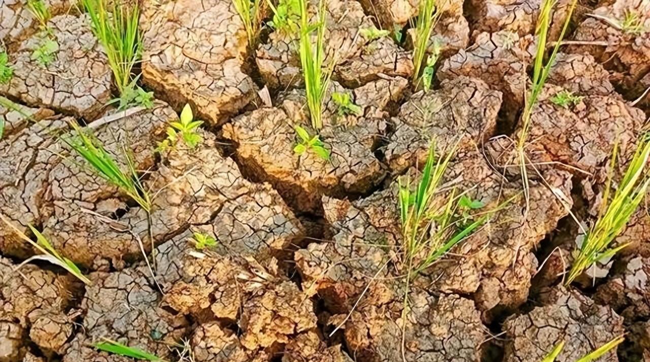 气候大势定了：如若不出意外，2026年中国极端天气可能会迎3变化