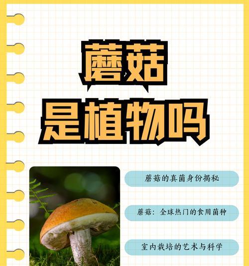 探秘饥荒绿蘑菇（吃还是不吃）